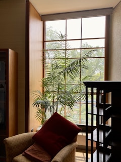 Comfortable armchair near window with plants