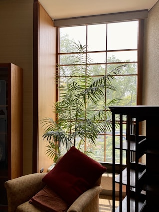 Cozy living room with natural wood furniture and green plants by a large window.