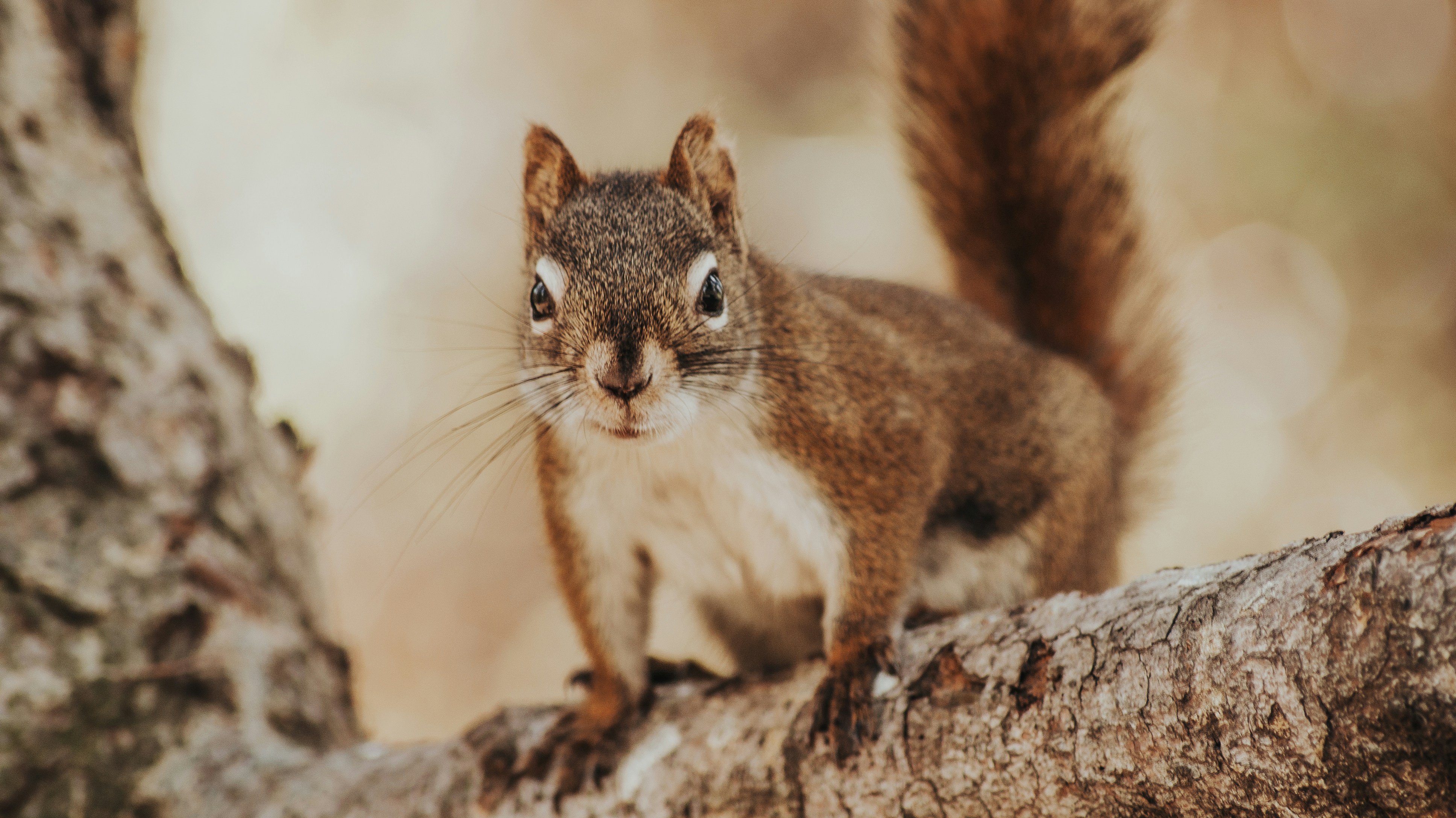 Photo by maxfieldphotography