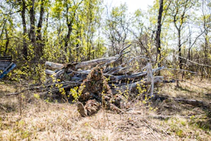 Wide shot of a camouflaged tarp shelter blending seamlessly into a forest environment