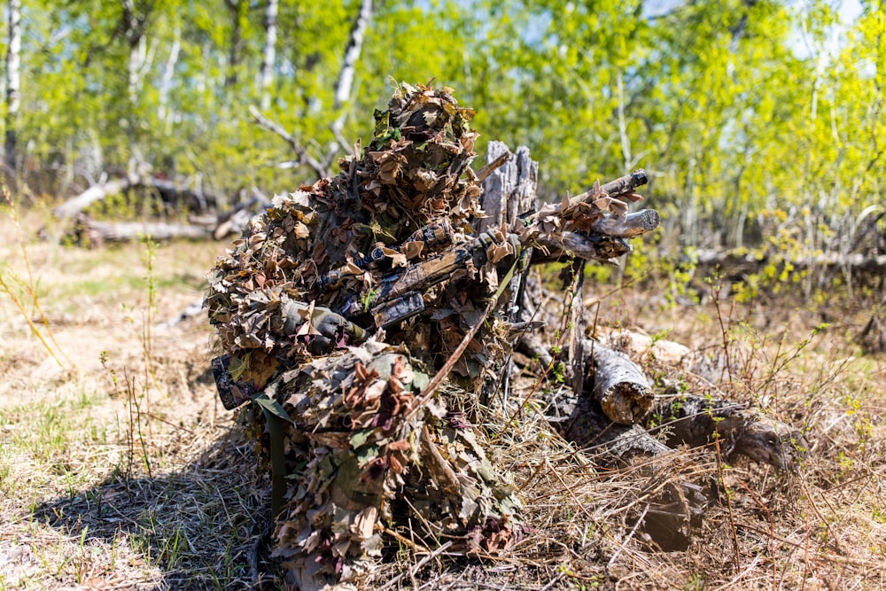 a pile of wood sitting in the middle of a forest