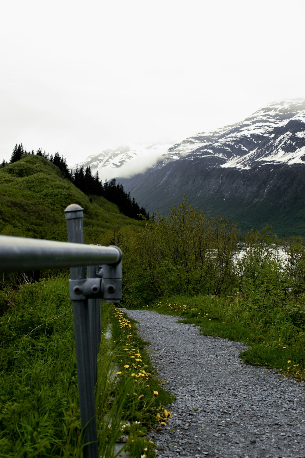 a path with a mountain in the background