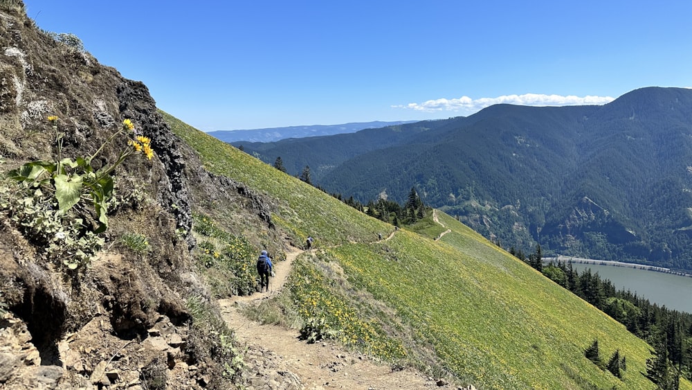 a person walking up a trail on a mountain