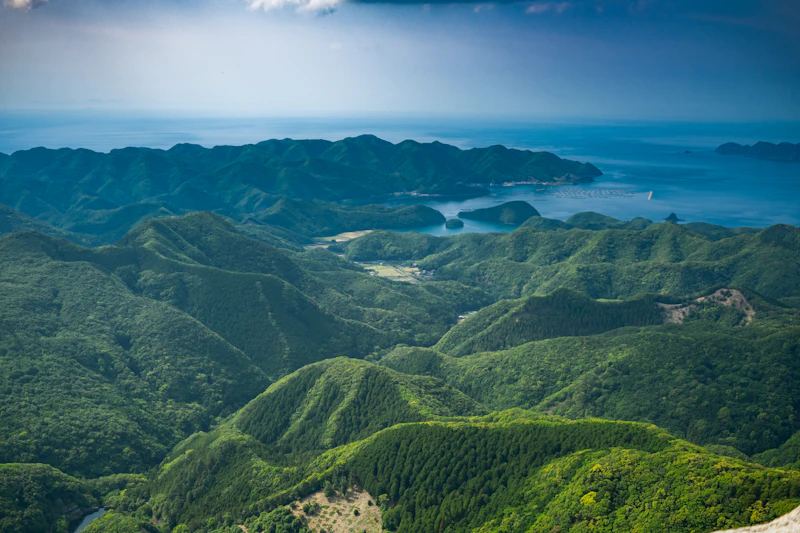Best Spots for Traditional Food in Nagasaki That Actually Get It Right