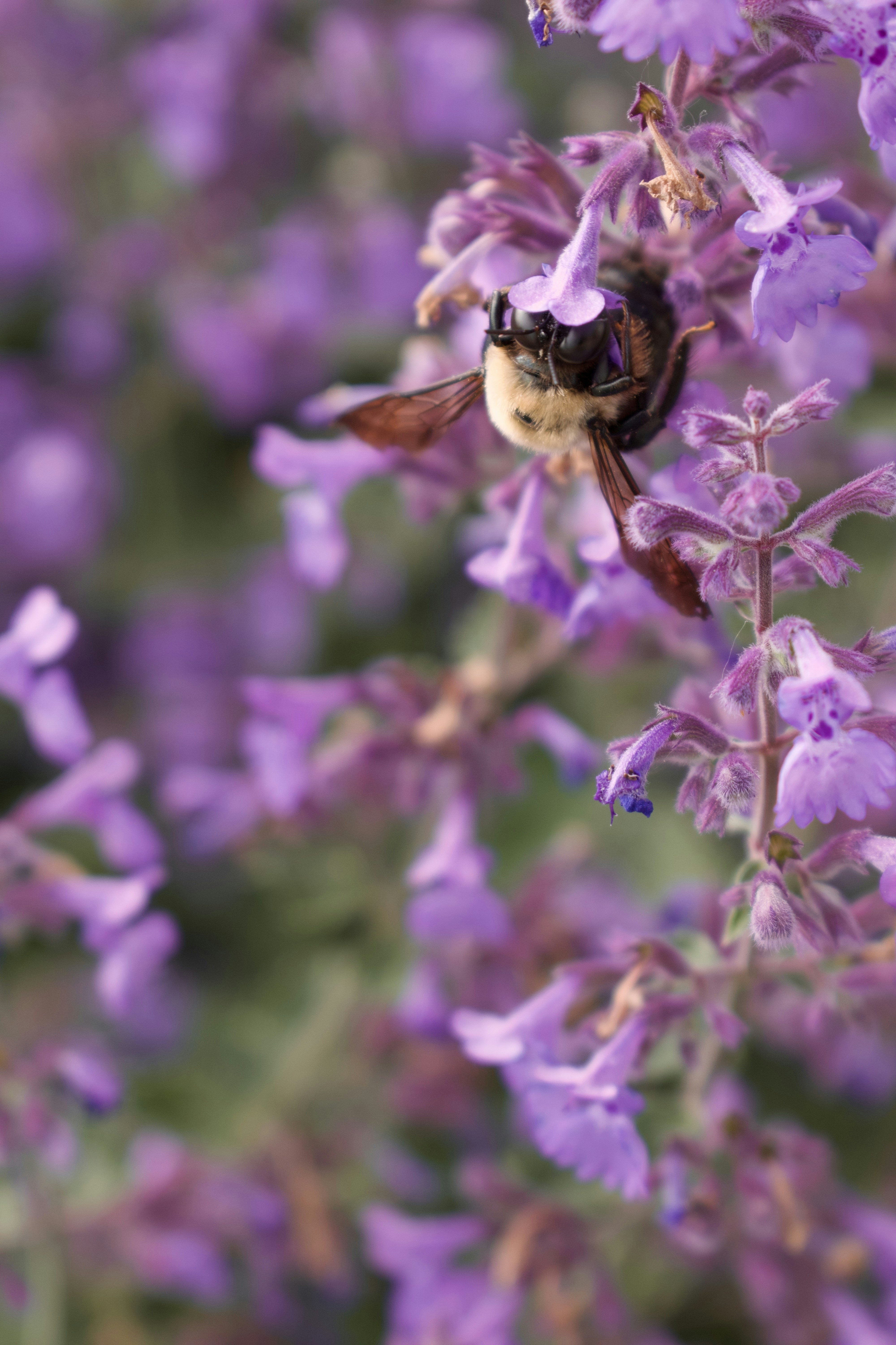 Photo by thebenitezz