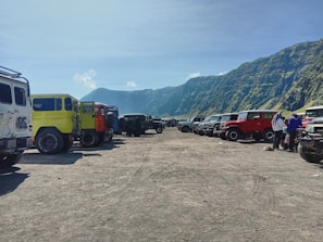 Group of rugged pickup trucks lined up on a dusty off-road trail
