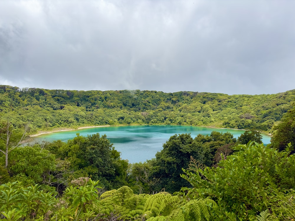 a blue lake surrounded by lush green trees
