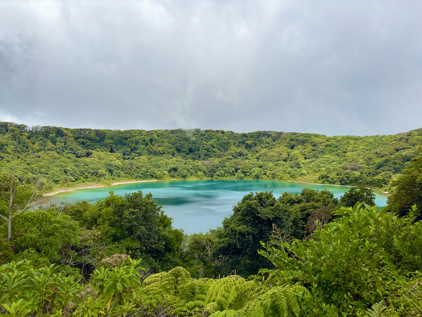 Tropical island landscape in Tonga
