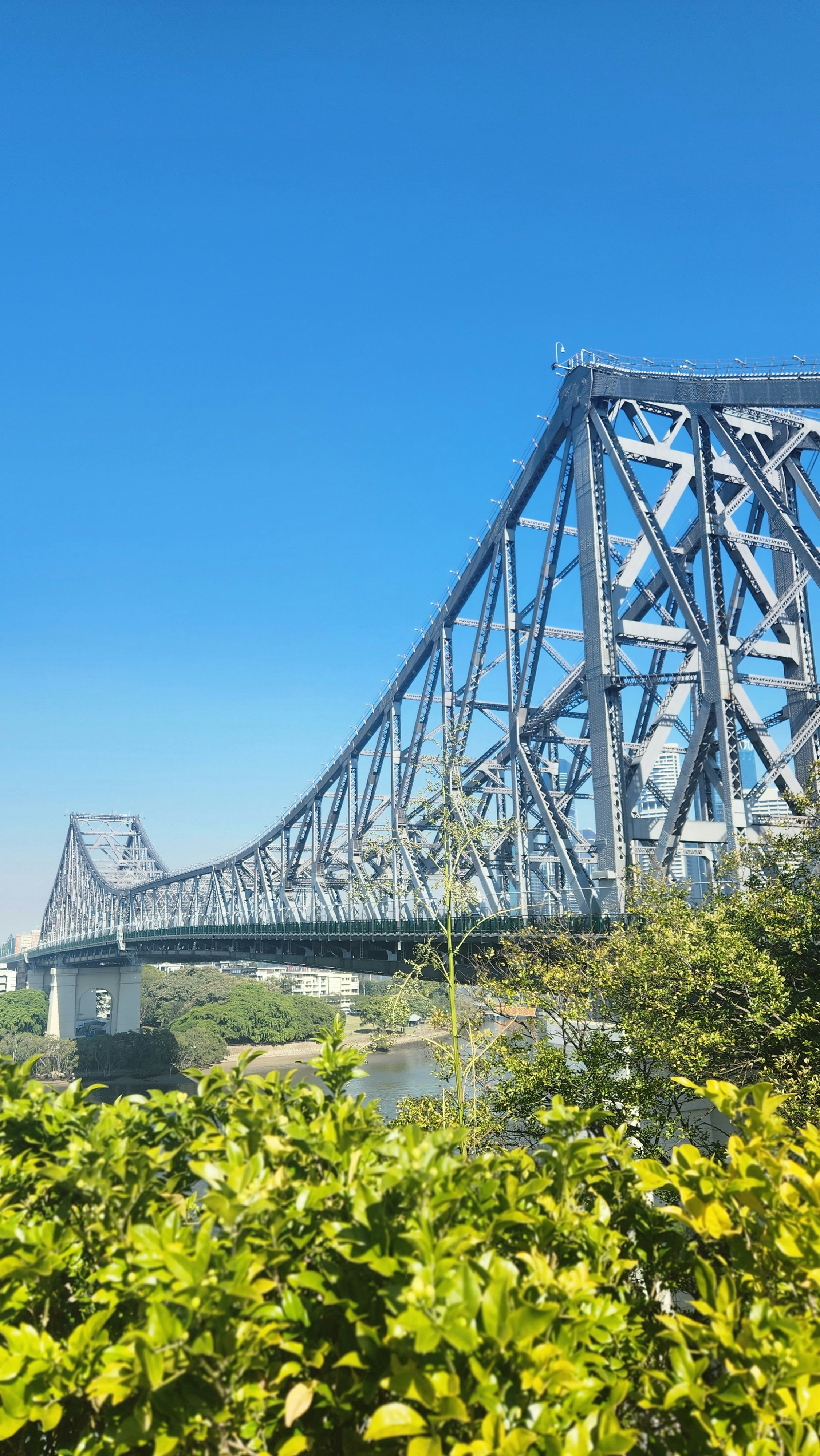 Photo by daddyiwantapony