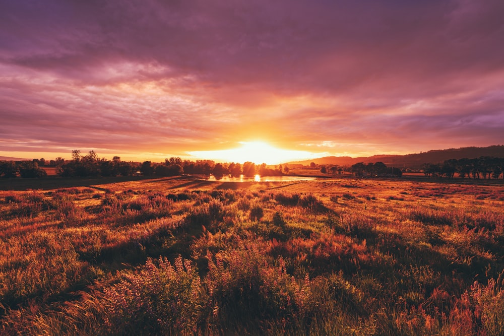 the sun is setting over a grassy field