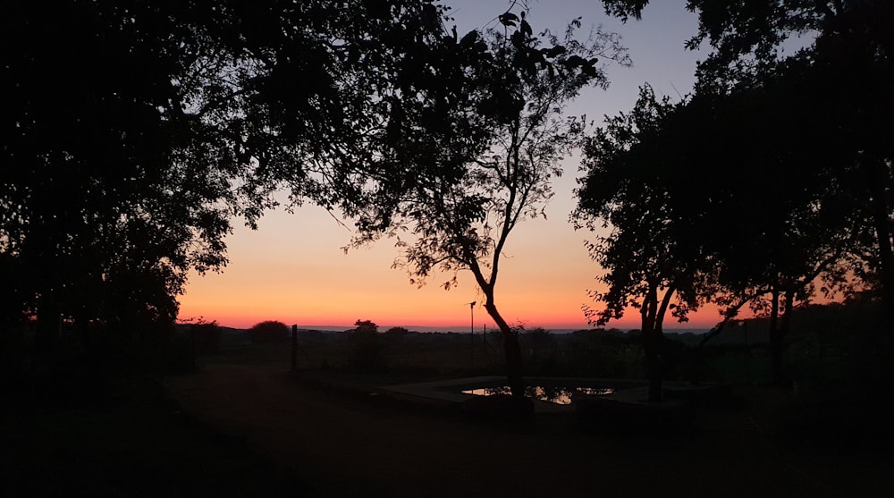 the sun is setting behind some trees