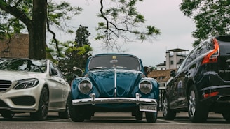 Three cars are parked side by side in a parking lot. The central car is a classic blue Volkswagen Beetle. To the left is a white sedan and to the right is a darker SUV. The background consists of trees and a building, giving an urban vibe.