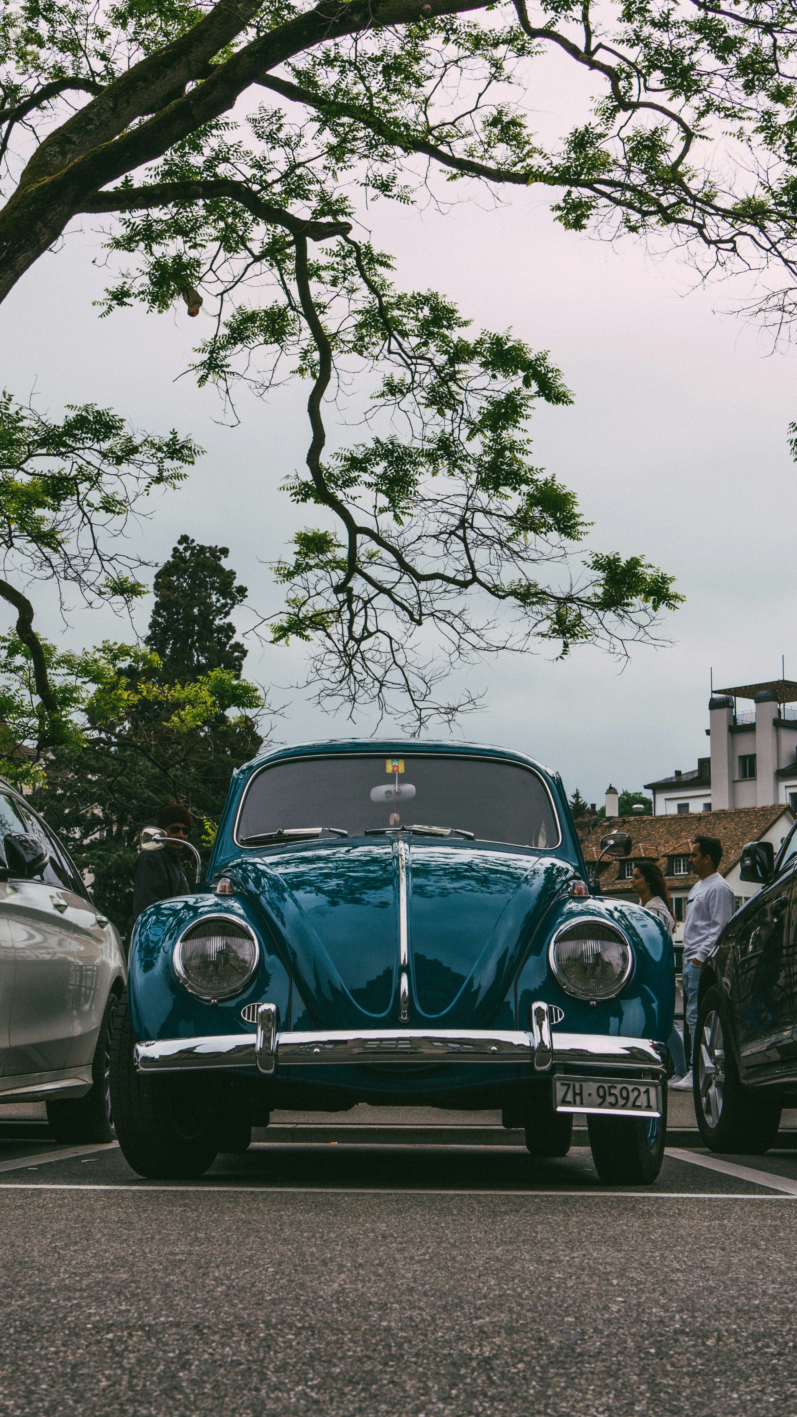 a blue car parked in a parking lot next to a tree