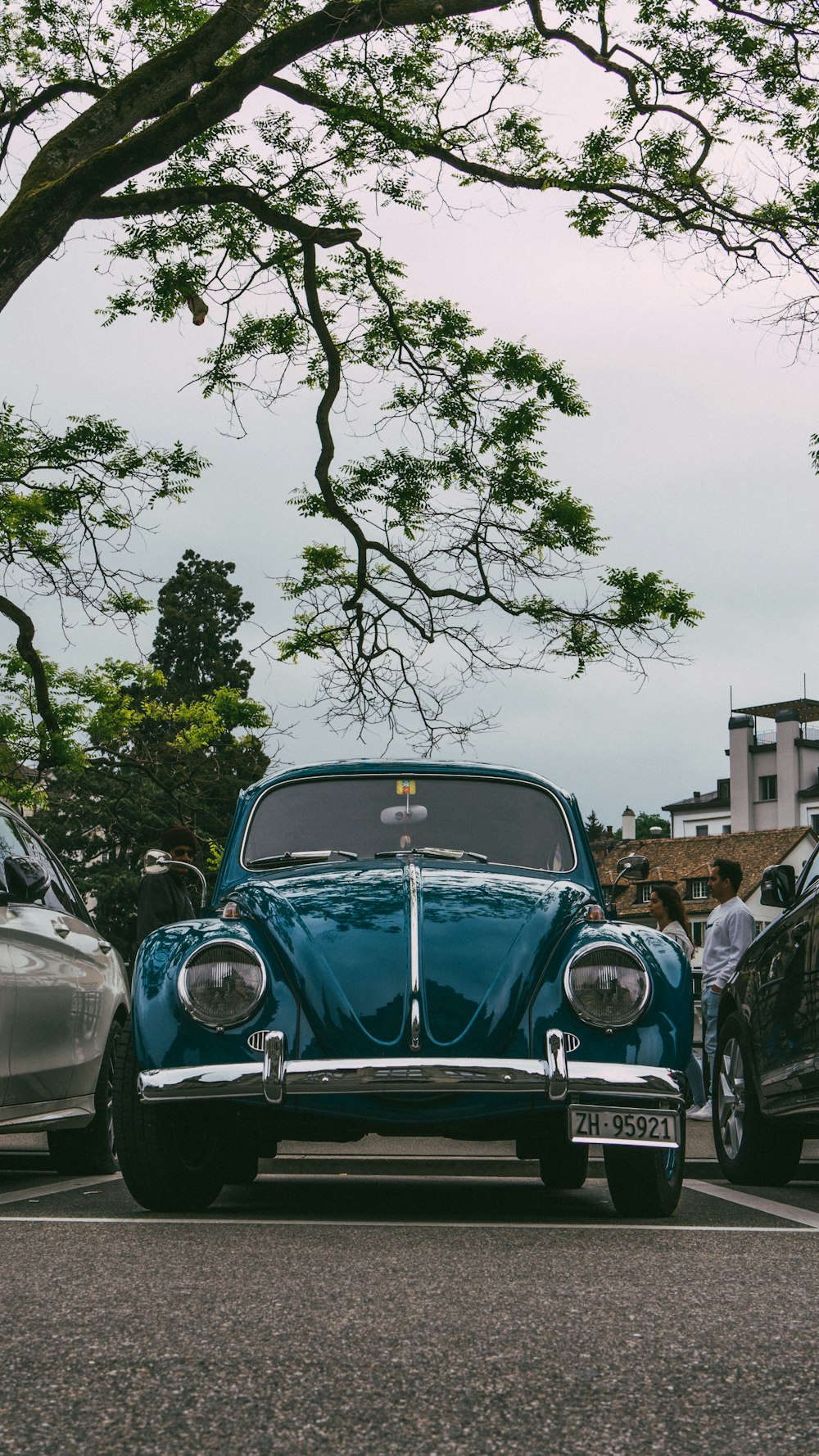 a blue car parked in a parking lot next to a tree