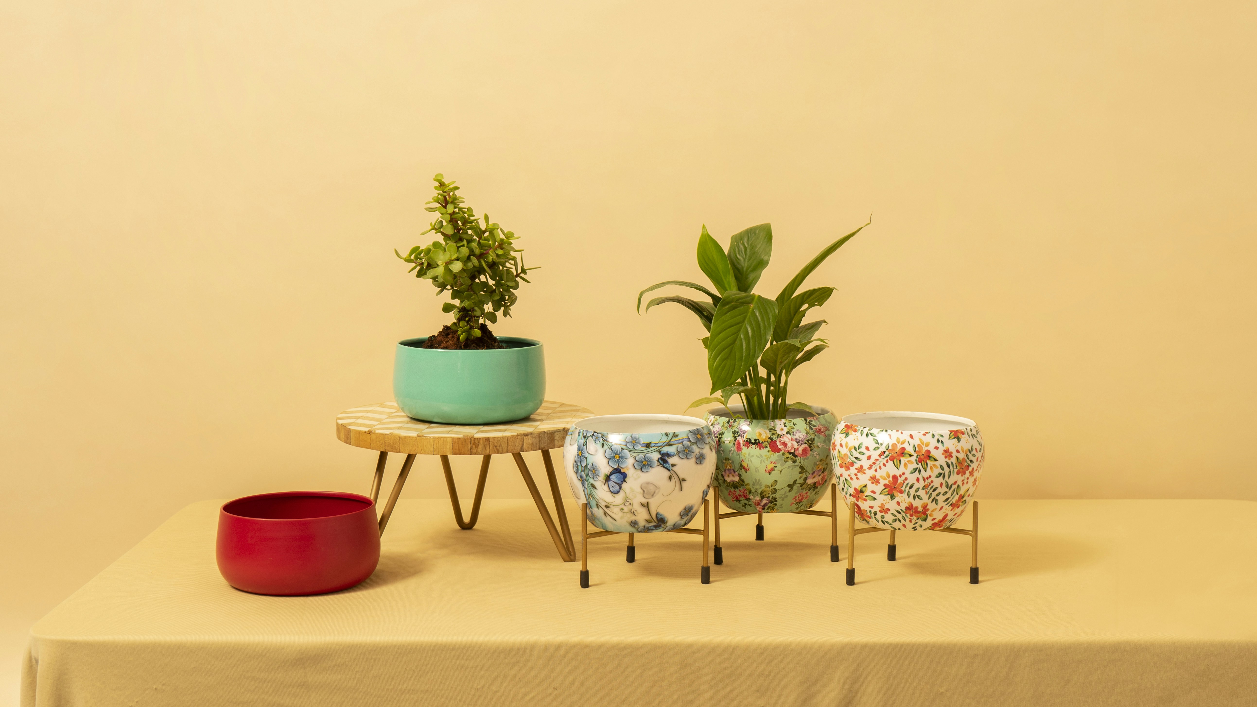 Photo by vickykumar_123