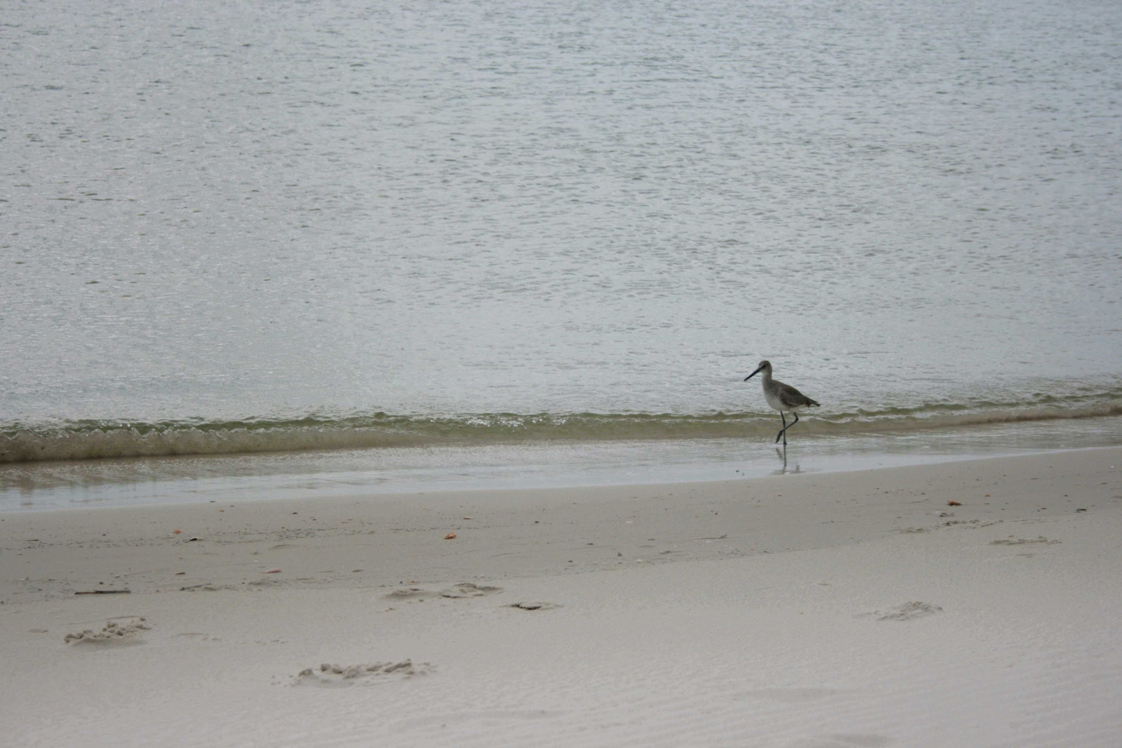 Photo by astralforests