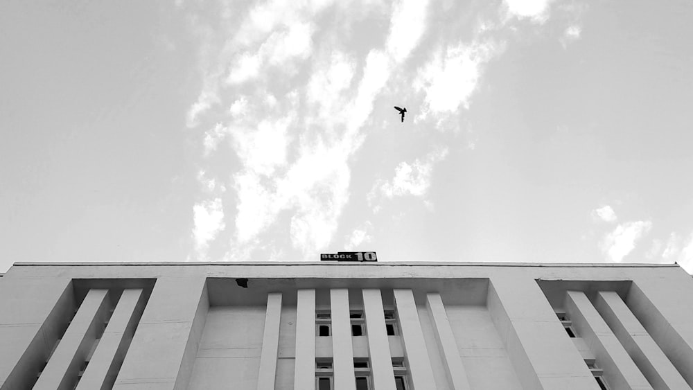 a black and white photo of a bird flying over a building