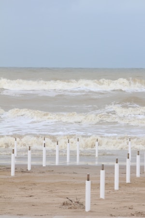 Strandplezier: Jouw Gids voor de Perfecte Stranddag