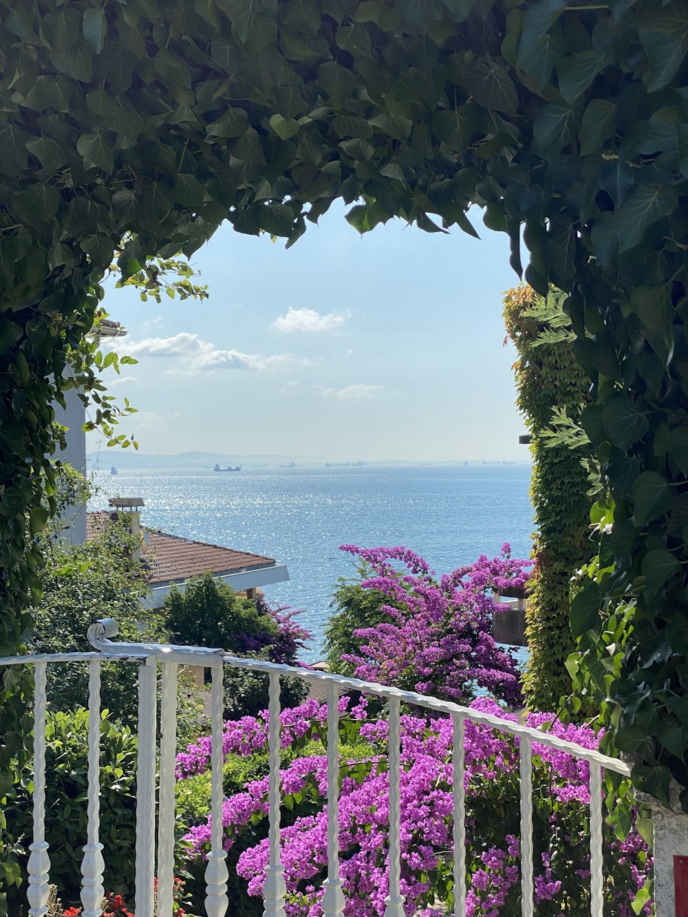 a view of a body of water through a gate