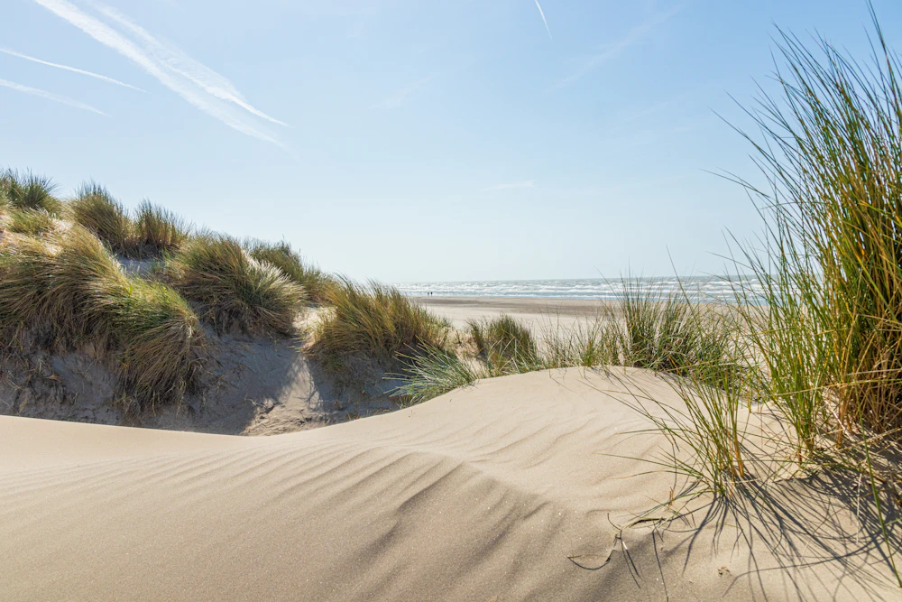Seaside class on the Belgian North Sea coast