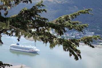 A large cruise ship sails through a calm body of water, partially obscured by an evergreen branch adorned with green moss in the foreground. The background features a small coastal town surrounded by lush, forested hills.