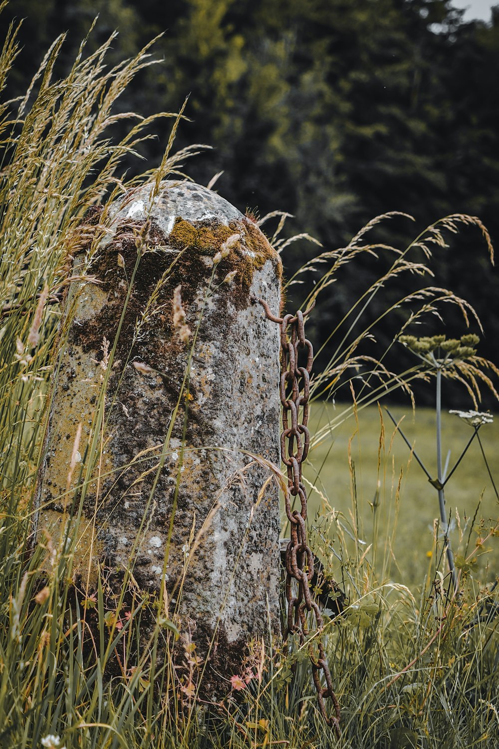 a large rock in a grassy field next to a chain link fence