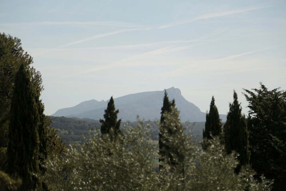 a view of a mountain range through some trees