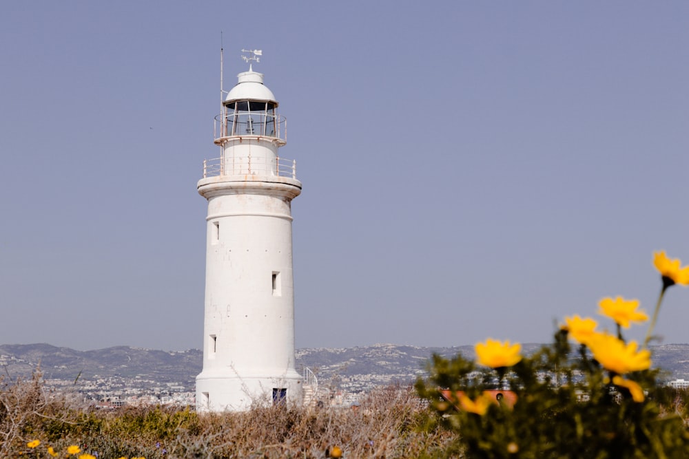 a white light house surrounded by yellow flowers