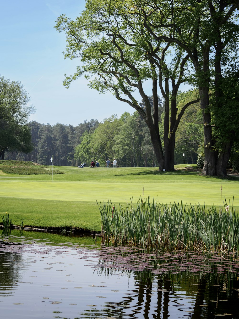 a golf course with a pond in the foreground