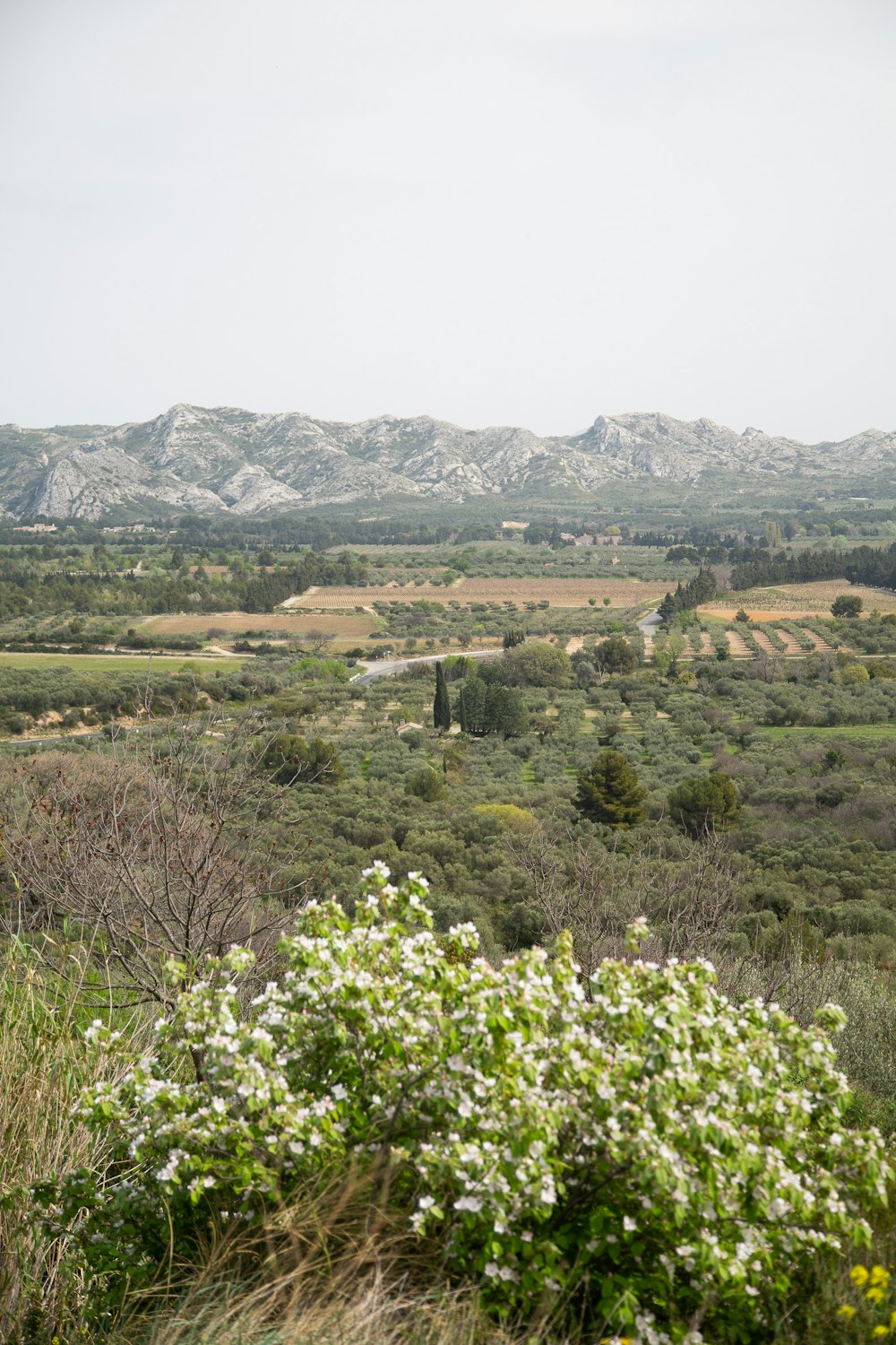 a view of a valley with mountains in the background