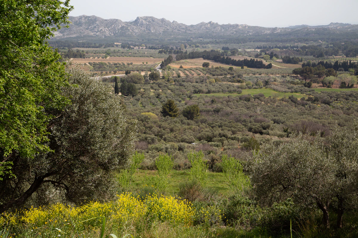 Agricultural Land