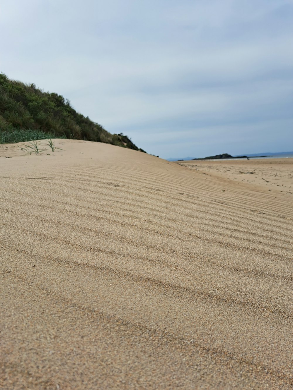 a sandy beach with a hill in the background