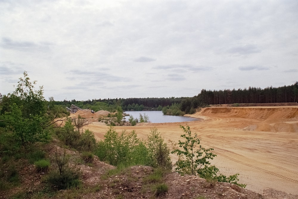 a dirt field with trees and a body of water