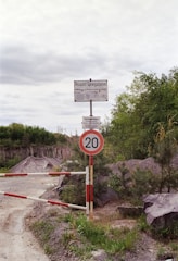 a road sign on a dirt road next to a forest