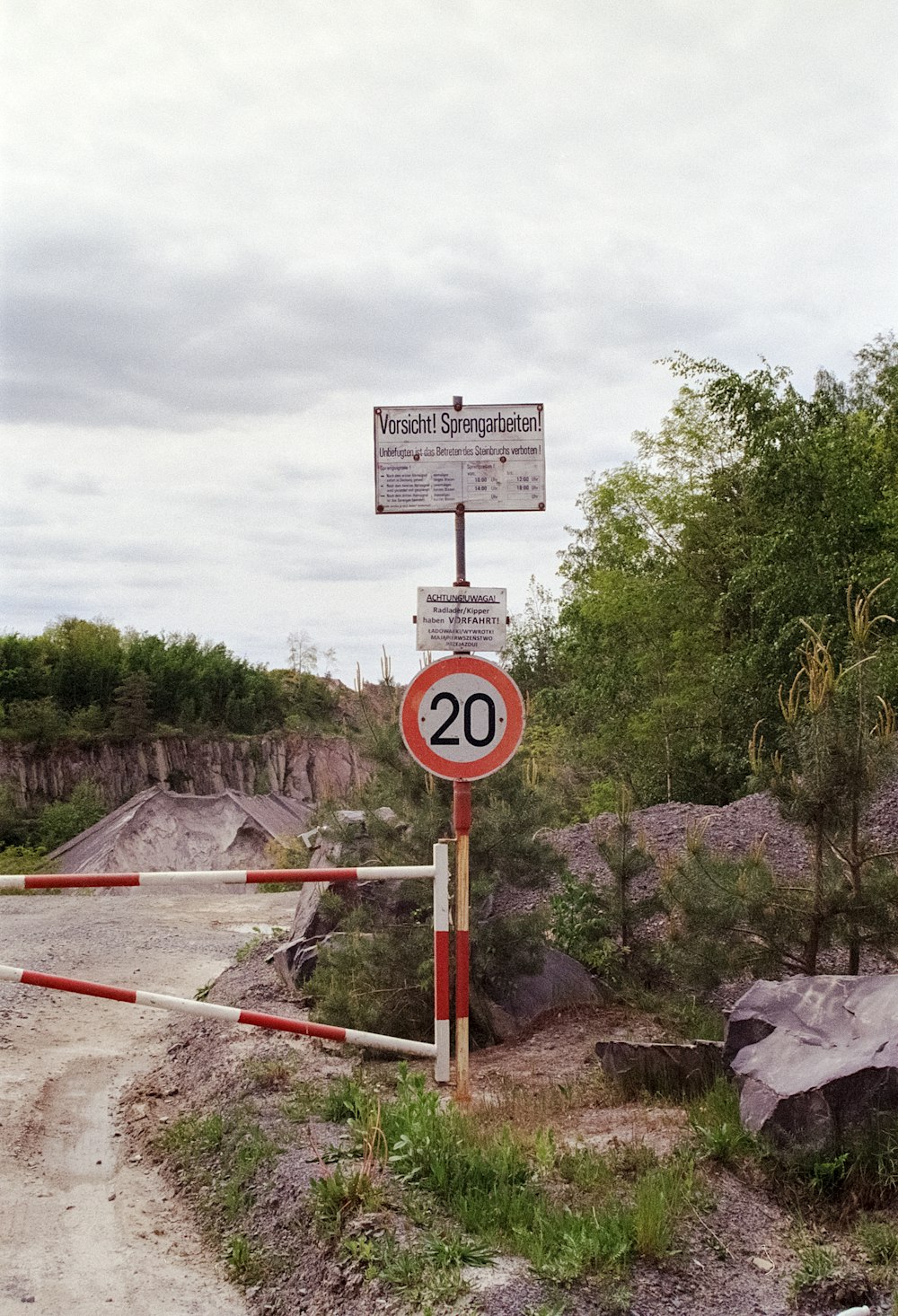 a road sign on a dirt road next to a forest