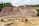 A large excavator is digging earth in a quarry, surrounded by mounds of dirt and sparse vegetation. The landscape includes a steep, eroded hill in the background with some green foliage on top.