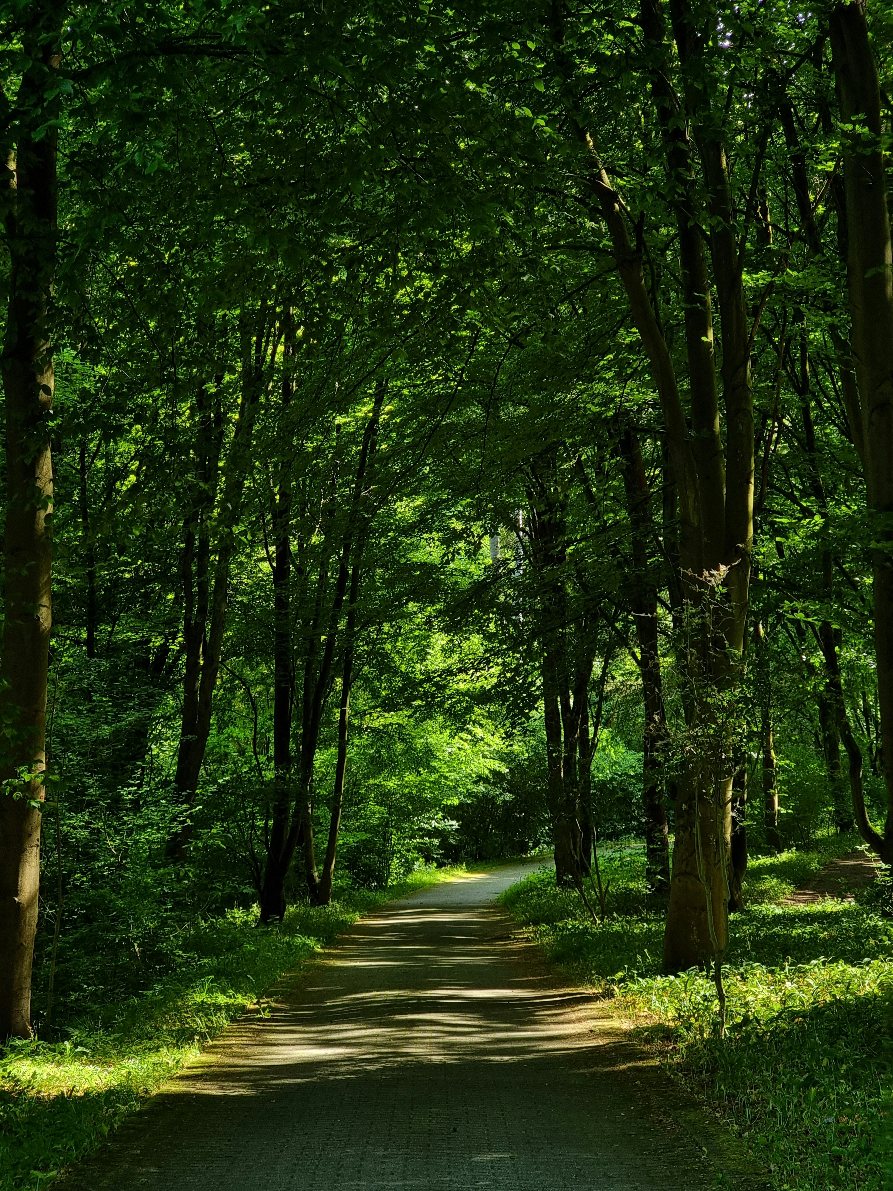 Photo by tharunthejusjp