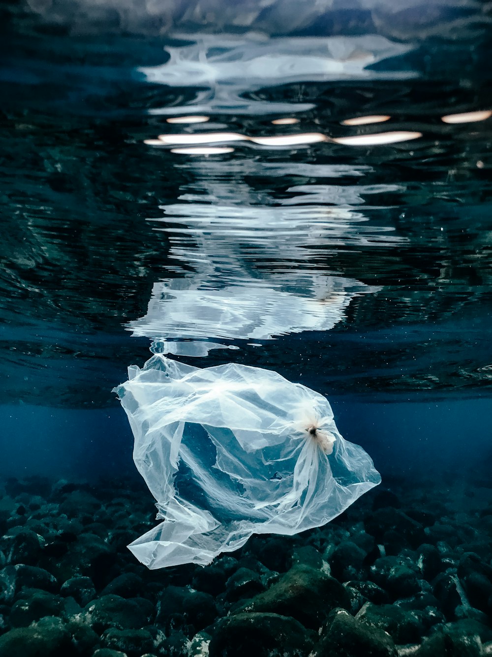 eine Plastiktüte, die auf einem Gewässer schwimmt