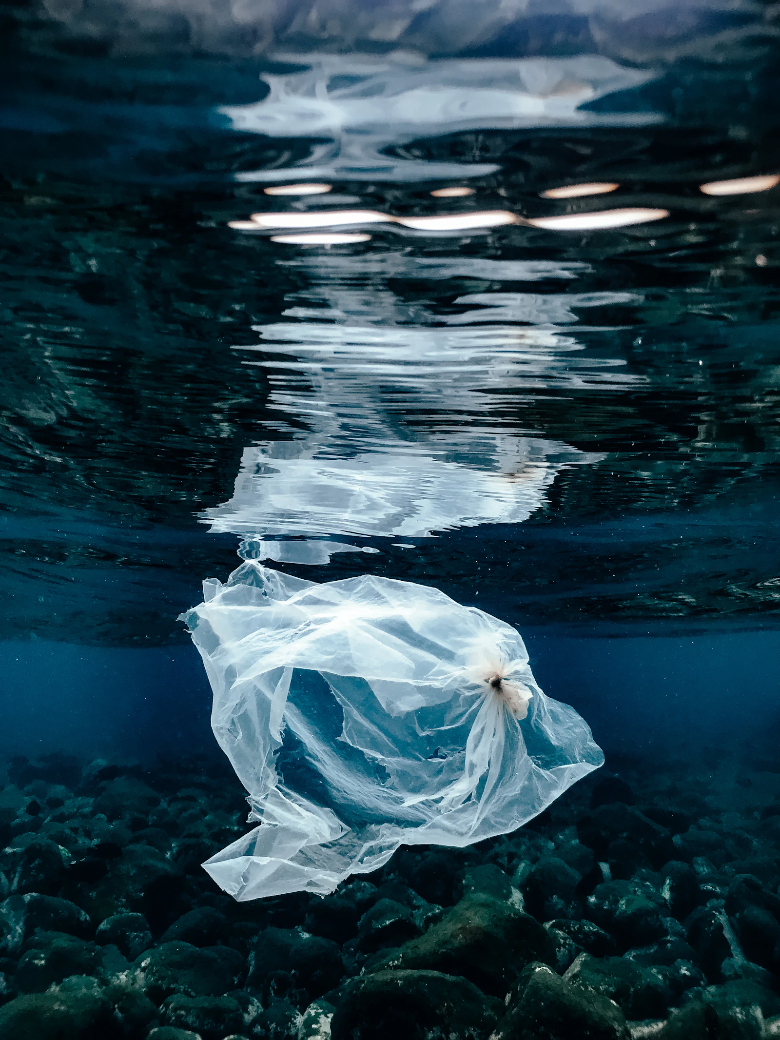 A plastic bag floating just under the surface of the sea