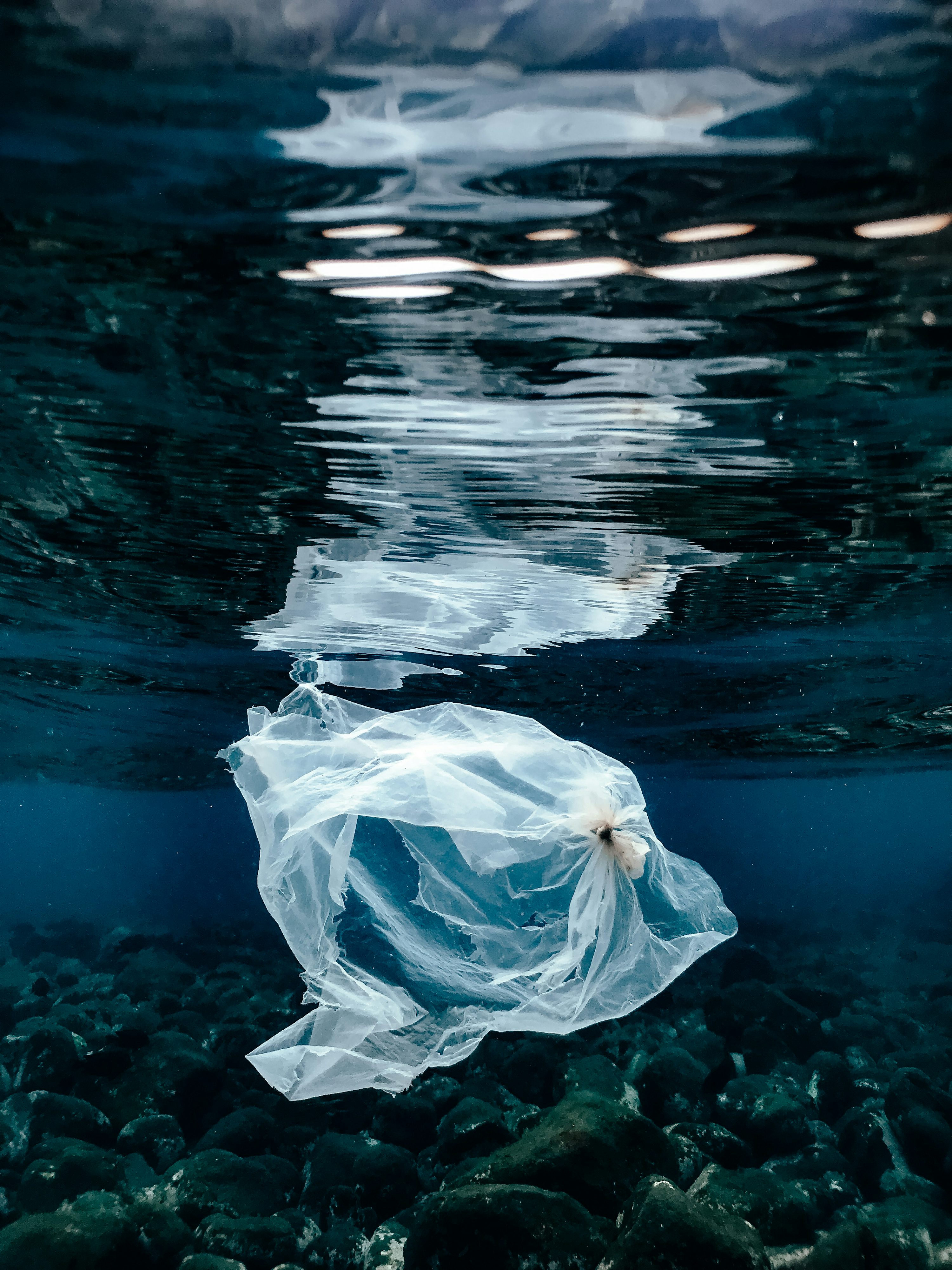 un sac en plastique flottant au-dessus d’un plan d’eau