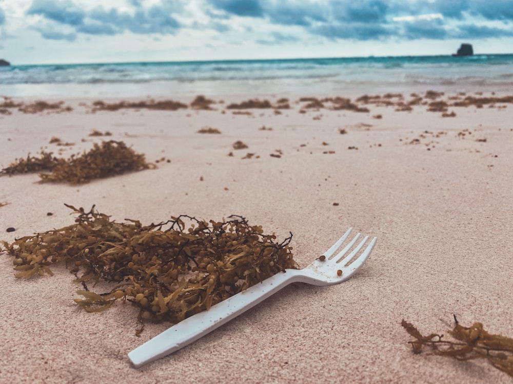 a fork stuck in the sand on a beach