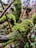 Moss-covered branches and tree trunks form an intricate, natural composition. The rich, green moss contrasts with the dark, coarse texture of the wood, creating a vibrant scene. The background is softly blurred, giving a sense of depth and focus to the moss in the foreground.