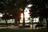 A serene outdoor scene with two people having a deep conversation on a park bench.