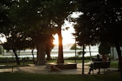 A peaceful outdoor scene with two friends sharing a heartfelt conversation on a park bench.