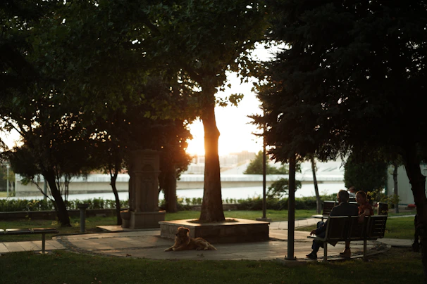 A serene park bench where two people are having a meaningful conversation