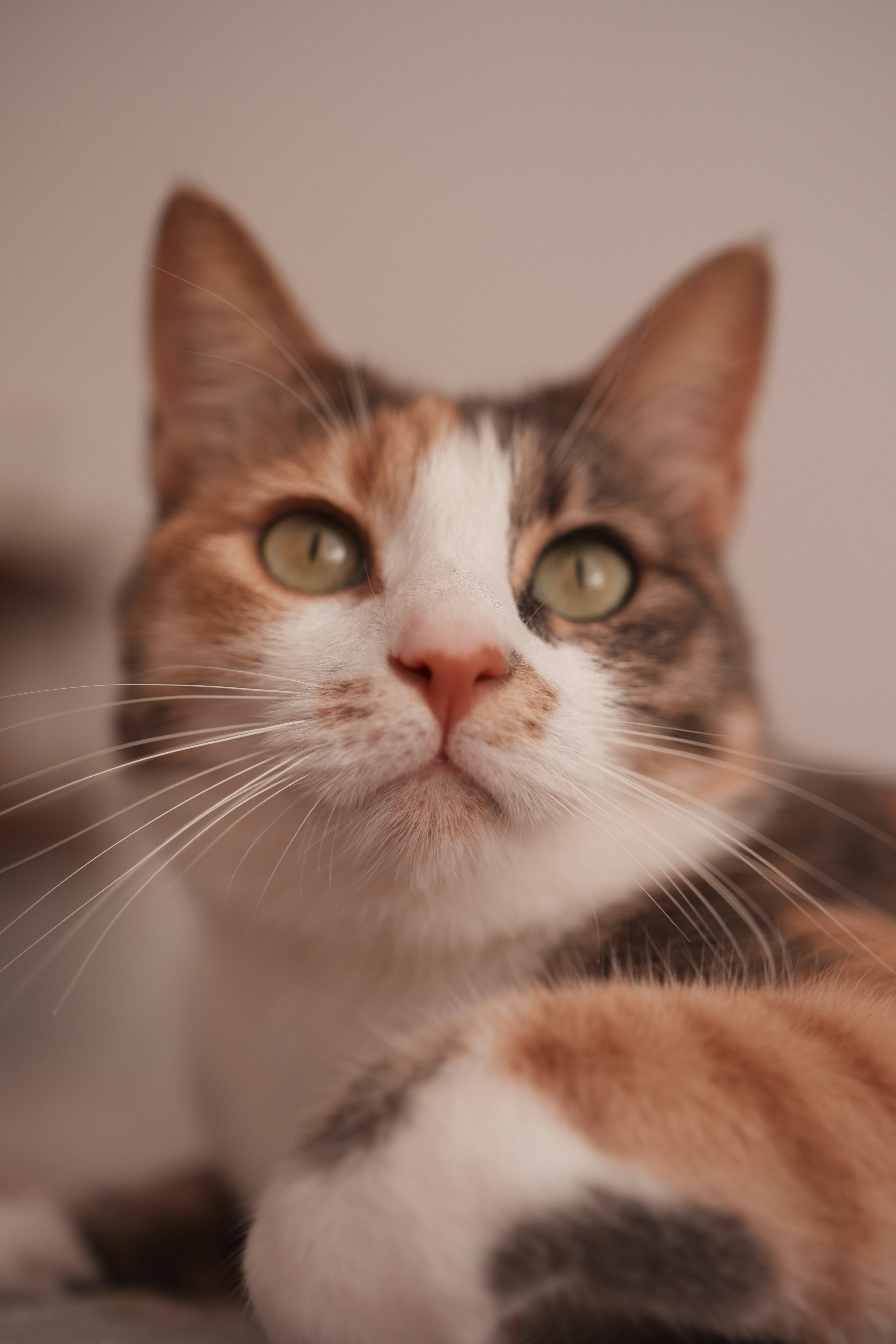 Photo by jakhisoni87