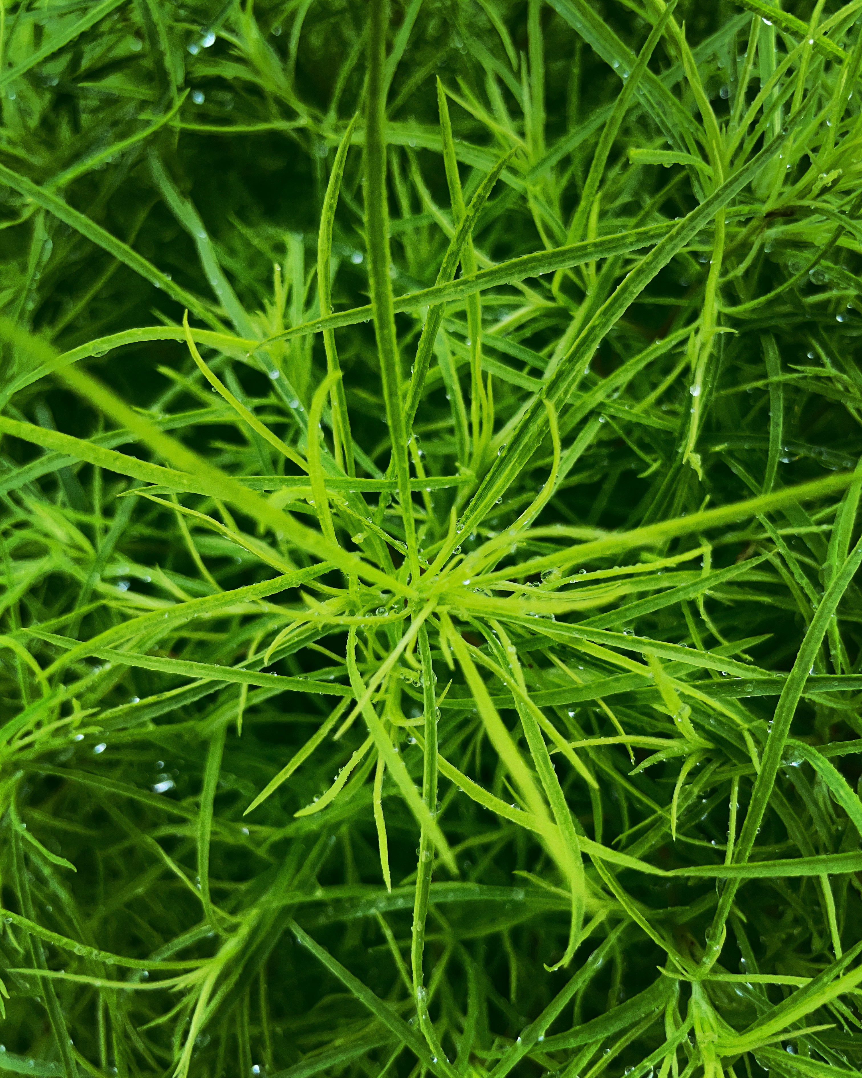 Photo by blueskywalker