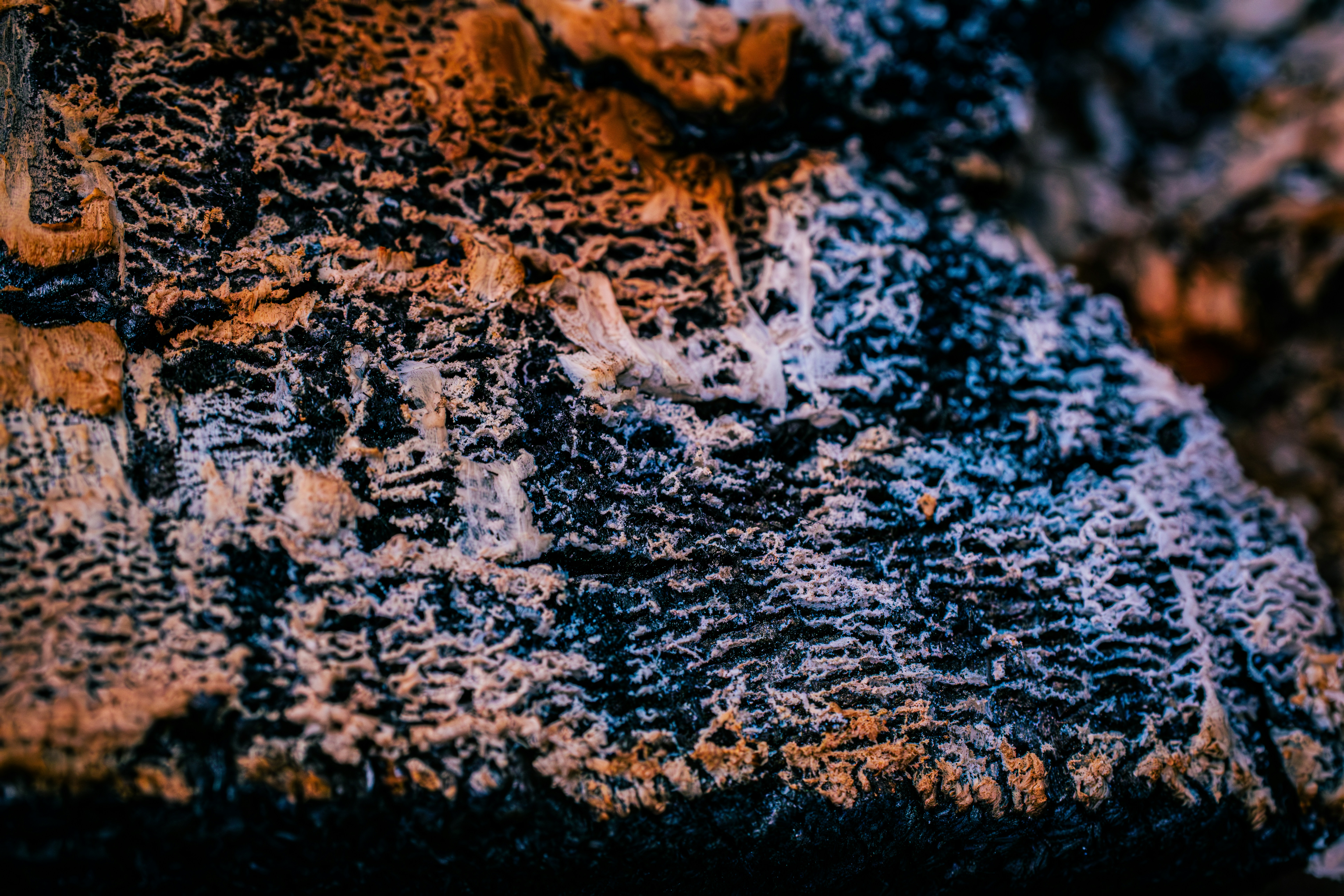 Photo by sleepless_explorer