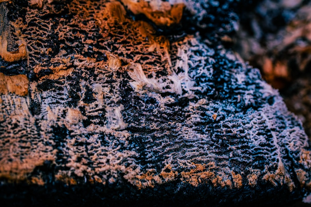 a close up of a rock with some dirt on it