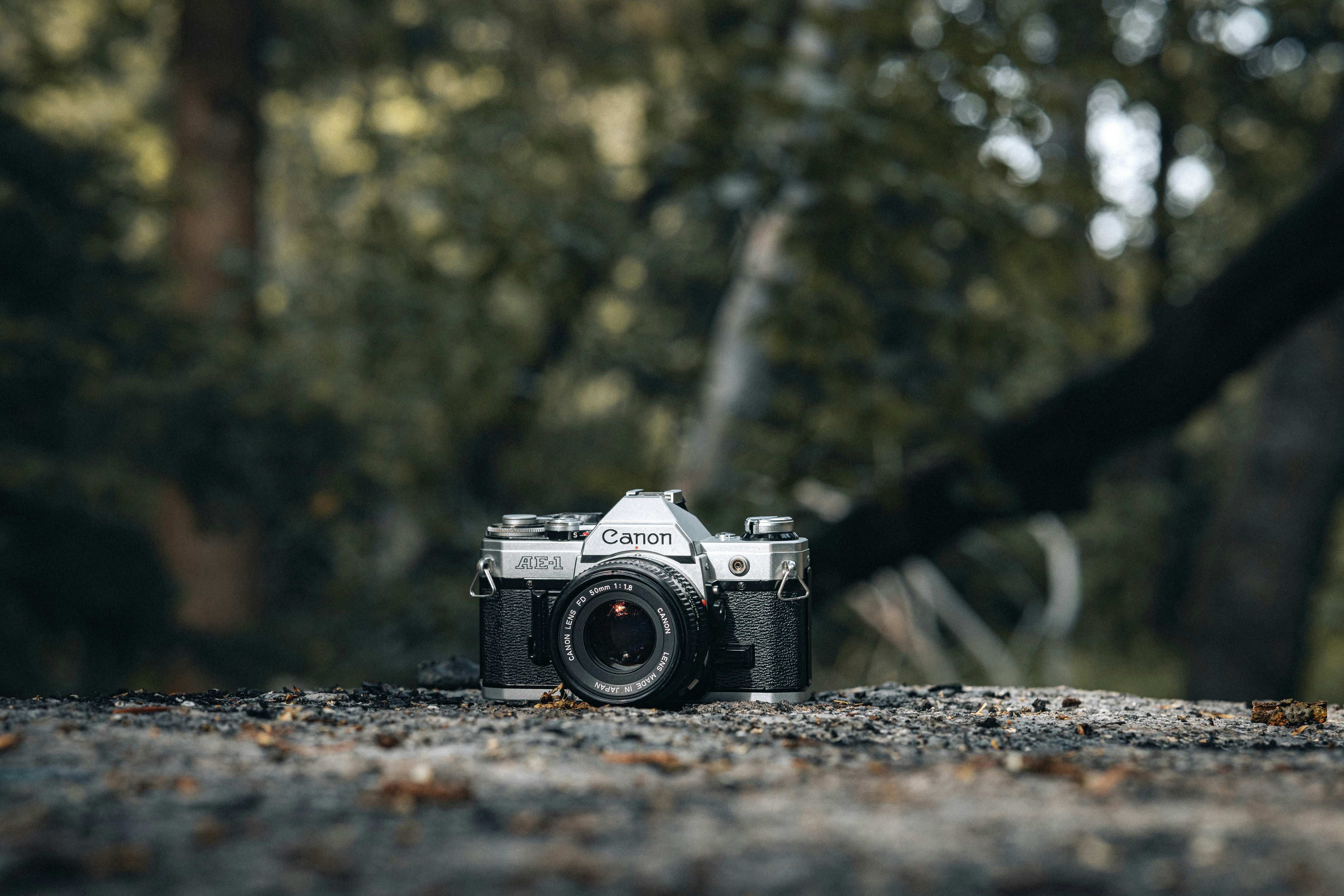 Photo by isaactmitchell